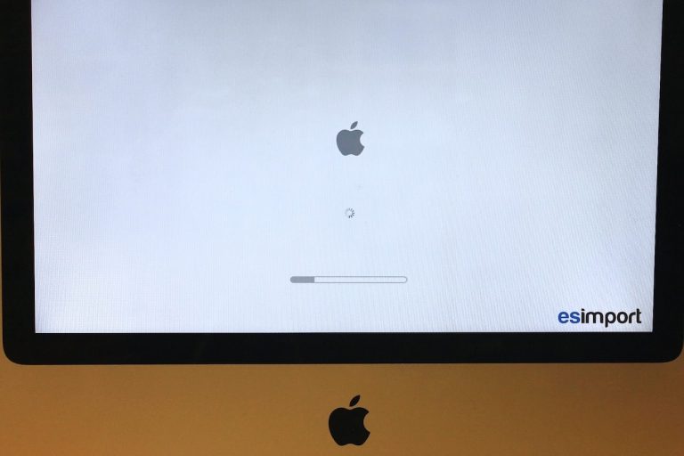 changer le disque dur sur un iMac 20 pouces 2007 - esimport